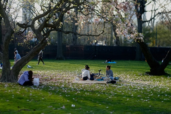 Picnic in Park