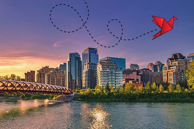calgary skyline with send offs logo