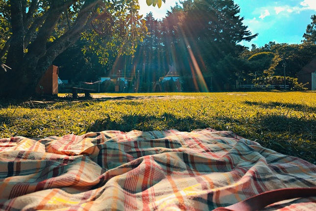 Picnic blanket in park