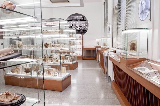 medical museum image