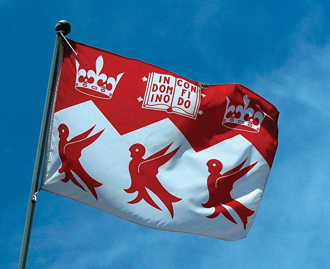 McGill Flag